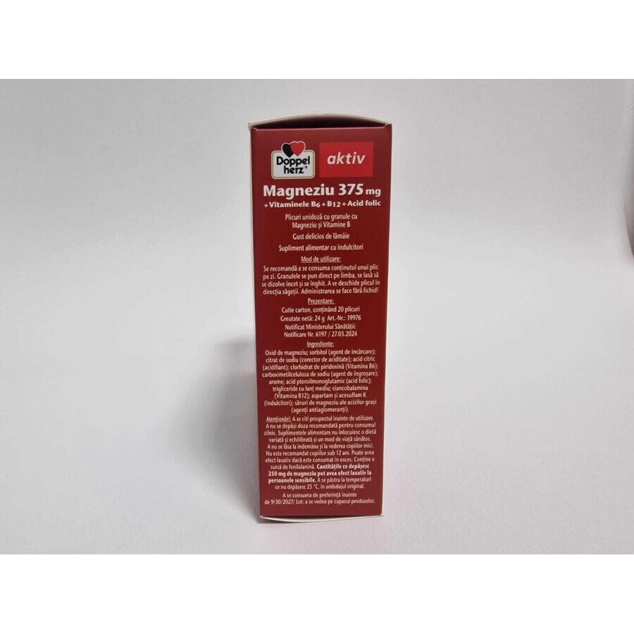 Doppelherz Aktiv Omega 3 1400 +Magnesium Direct 375mg+Vit. B6+B12+foliumzuur 20e verjaardagspakket