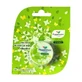 Té Verde Aroma Menta Campo, 8 g, Bertram, Té Verde Aroma Menta Campo, 8 g, Bertram
