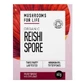 Reishi-Sporen, 1000 mg, 60 g, MushroomsForLife