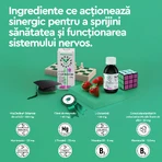 Nutrizione del cervello, 150 ml, Secom