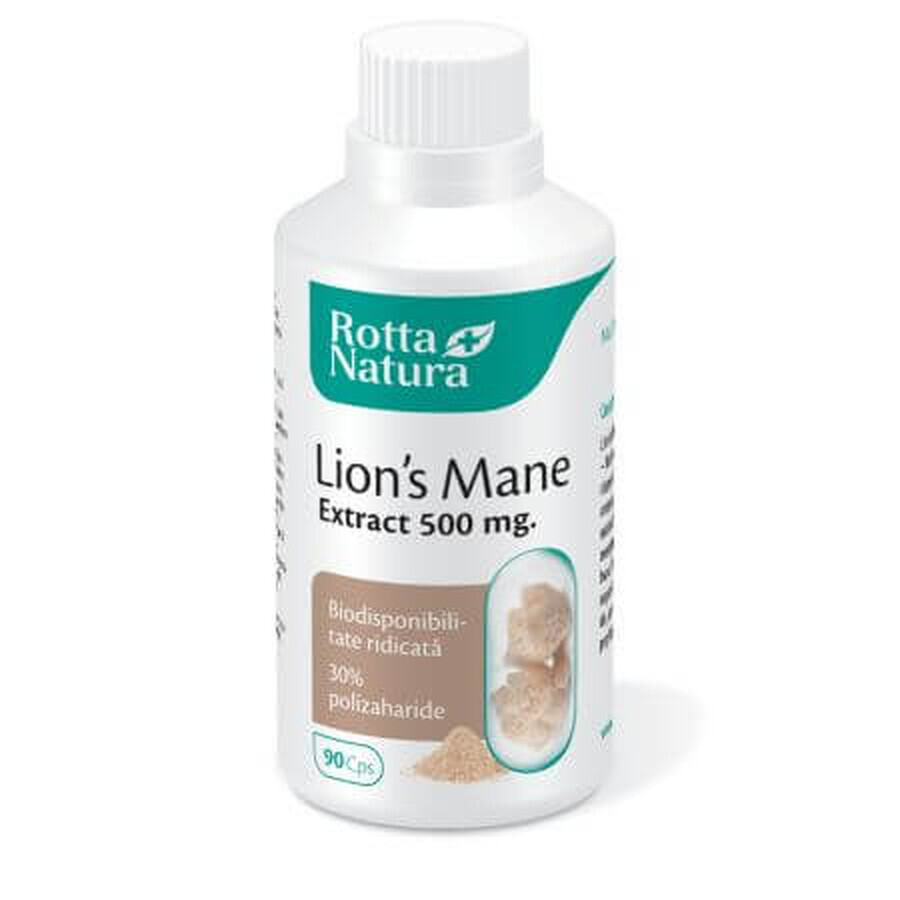 Crinière de lion, 500 mg, 90 gélules, Rotta Natura