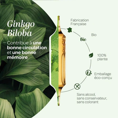 Superdiet Ginkgo Biloba Bio Circulation Et Mémoire 20 Ampoules