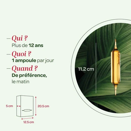 Superdiet Ginkgo Biloba Bio Circulation Et Mémoire 20 Ampoules