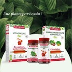 Superdiet Ginkgo Biloba Circulation Et Mémoire 20 Ampules Circulation Et Mémoire 300ml