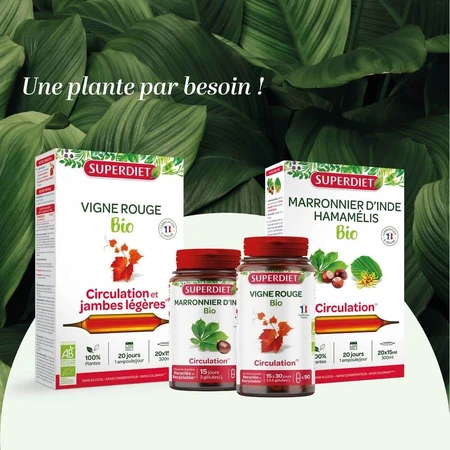 Superdiet Ginkgo Biloba Bio Circulation Et Mémoire 20 Ampoules