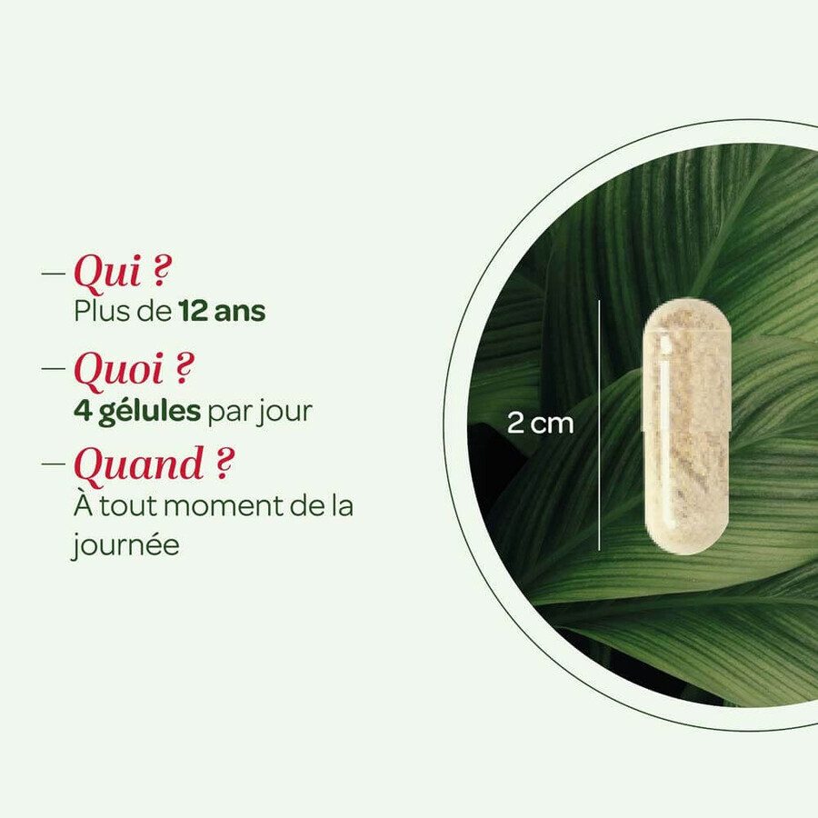 Superdiet Hygiaflore Psyllium Bio 100 Gélules