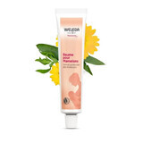 Weleda Brustwarzen-Salbe 25g
