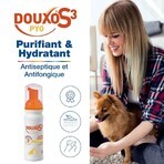Ceva Douxo Mousse Sans Rinçage Purifiante et Hydratante S3 Pyo Chlorexidine 3% Parfum Coco-Vanille 150ml