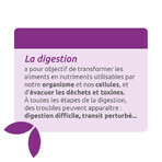 Herbesan Desmodium Bien-Être Du Foie 20 Ampullen Herbesan Desmodium Bien-Être Du Foie 20 Ampullen