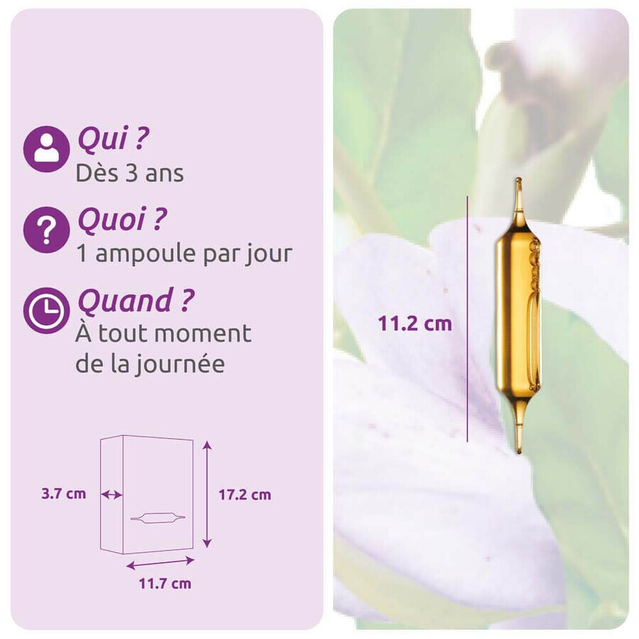 Herbesan Desmodium Bien-Être Du Foie 20 Ampullen