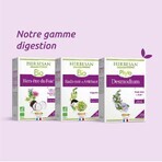 Herbesan Desmodium Bien-Être Du Foie 20 Ampullen Herbesan Desmodium Bien-Être Du Foie 20 Ampullen