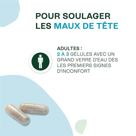Naturactive Maux de Tête Flash Bio 14 gélules