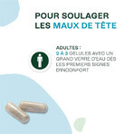 Naturactive Maux de Tête Flash Bio 14 gélules Naturactive Maux de Tête Flash Bio 14 gélules