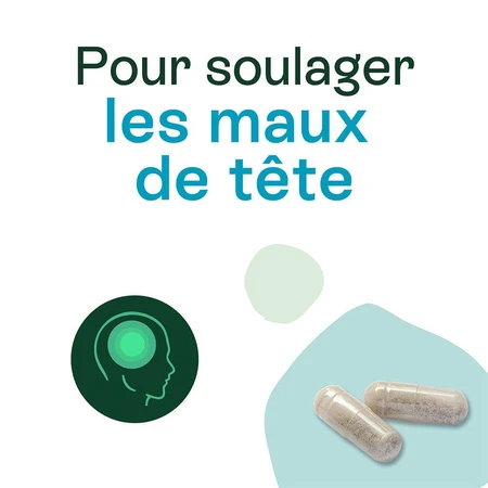 Naturactive Maux de Tête Flash Bio 14 gélules