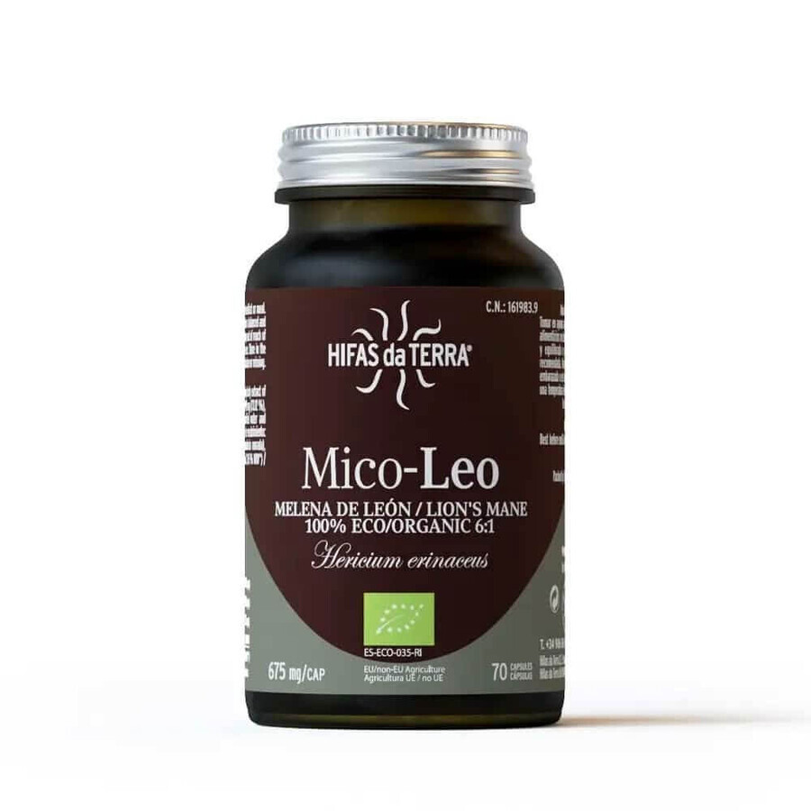 Hifas da Terra Mico-leo 70 cápsulas
