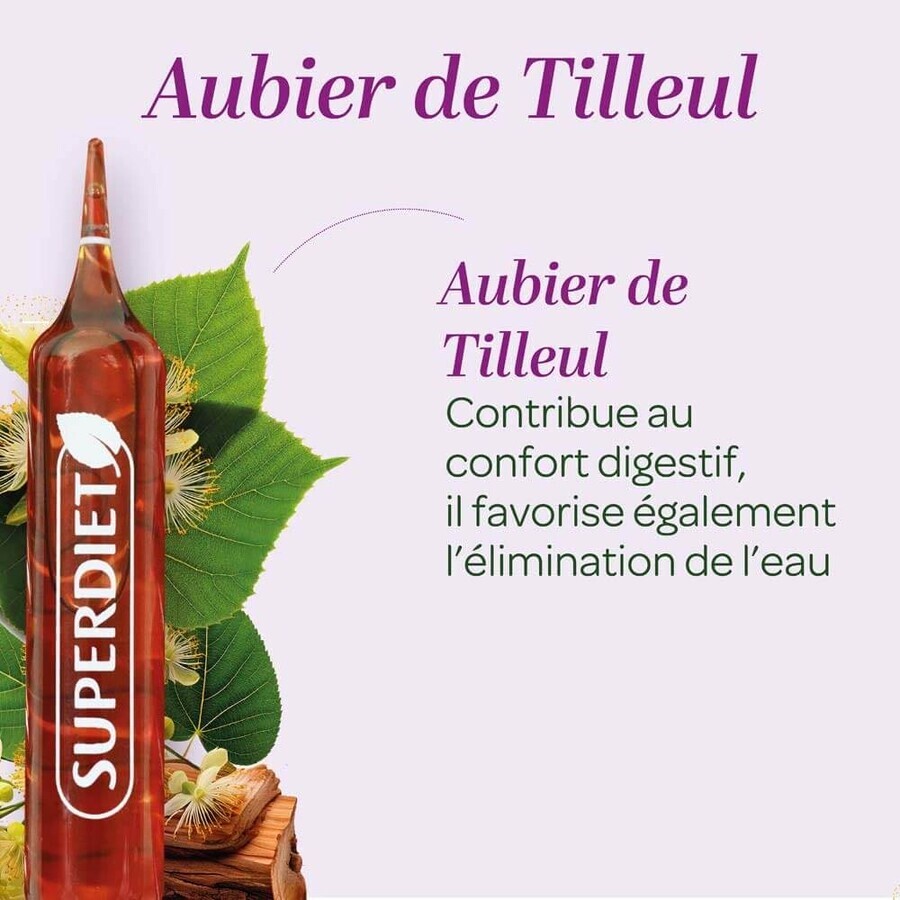 Superdiet Linden Sapwood Organic Digestion 20 Ampoules Bien-Être Digestif 20 Ampoules
