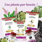 Superdiet Linden Sapwood Organic Digestion 20 Ampoules Bien-Être Digestif 20 Ampoules