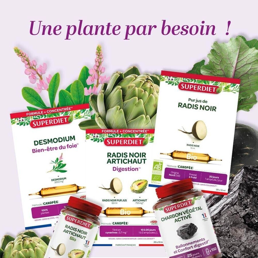 Superdiet Linden Sapwood Organic Digestion 20 Ampoules Bien-Être Digestif 20 Ampoules