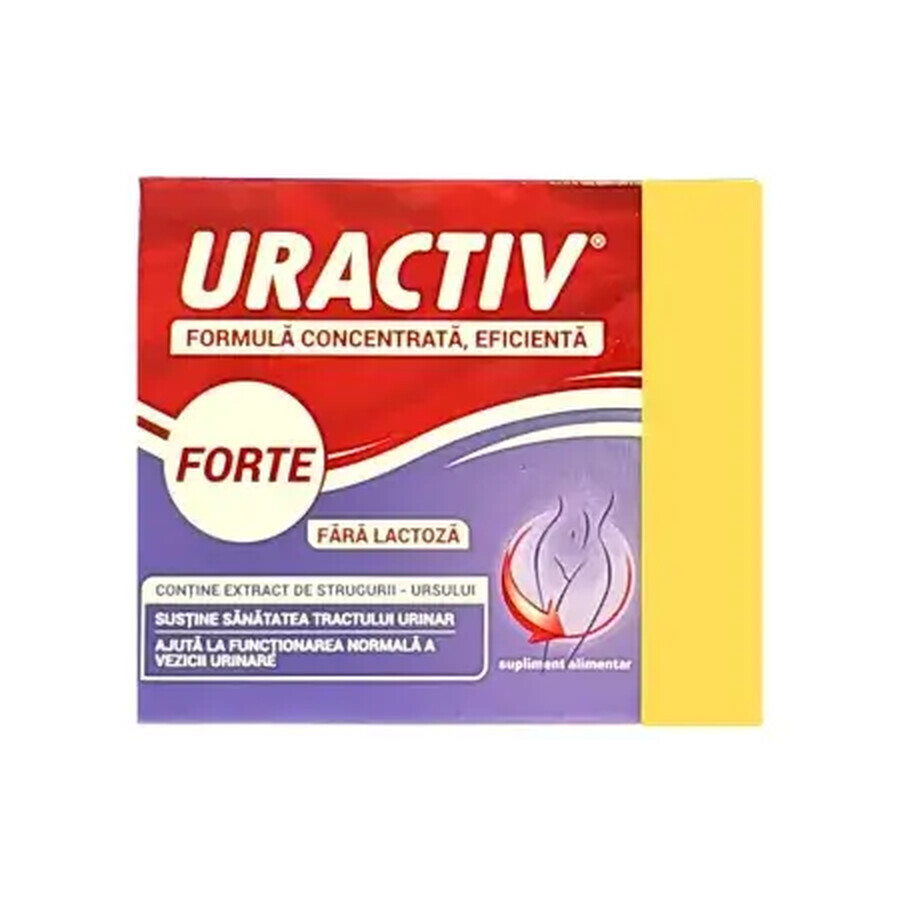 Pack Uractiv Forte lactose-free, 20 + 16 capsules, Therapy