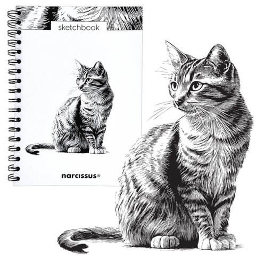 Spiral Skizzenbuch B5 Cat 60k mit Perforation 120 gsm
