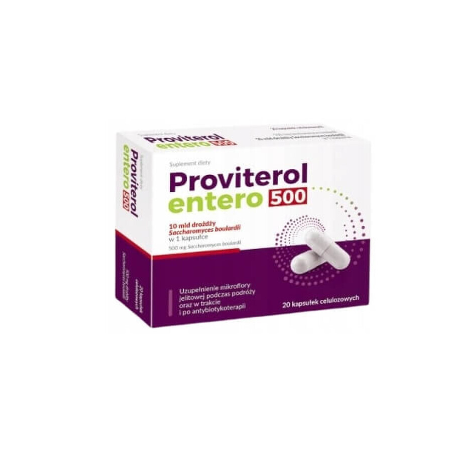Proviterol Entero 500, 20 cápsulas
