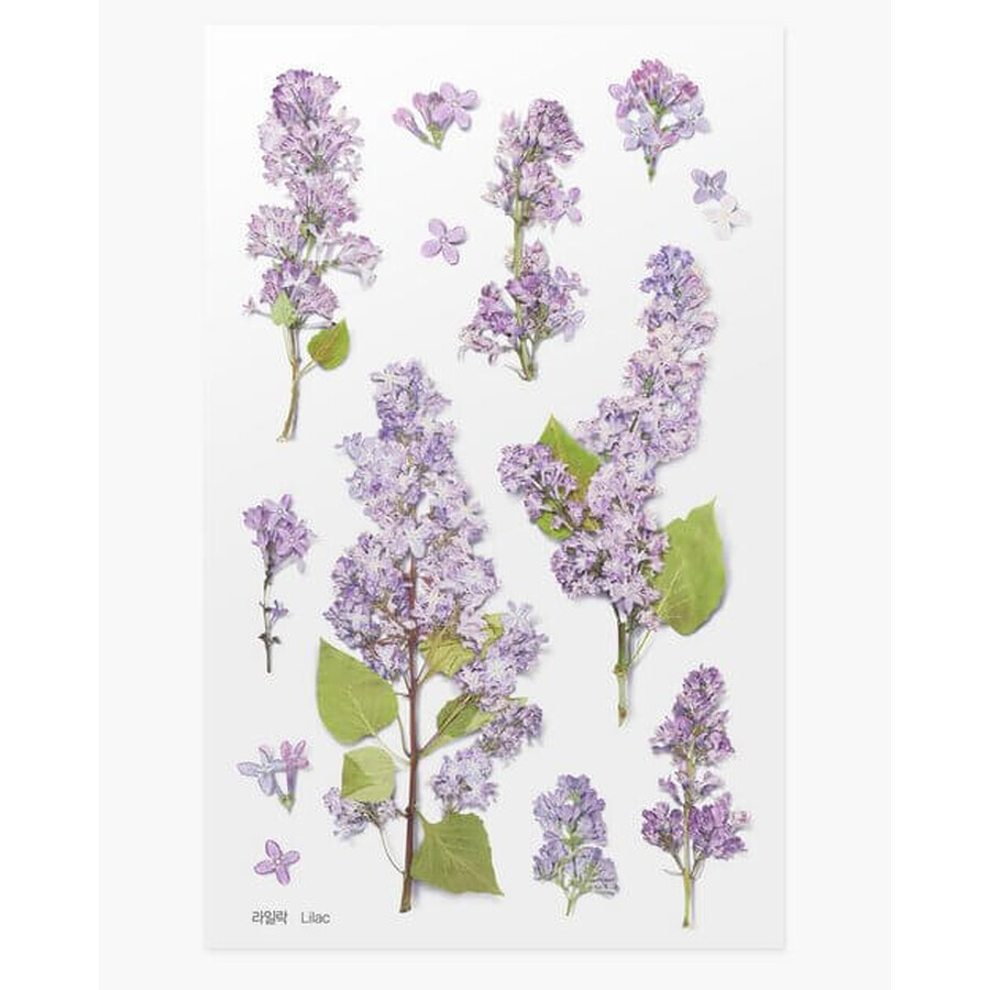 Adhesivos decorativos Flores lilas