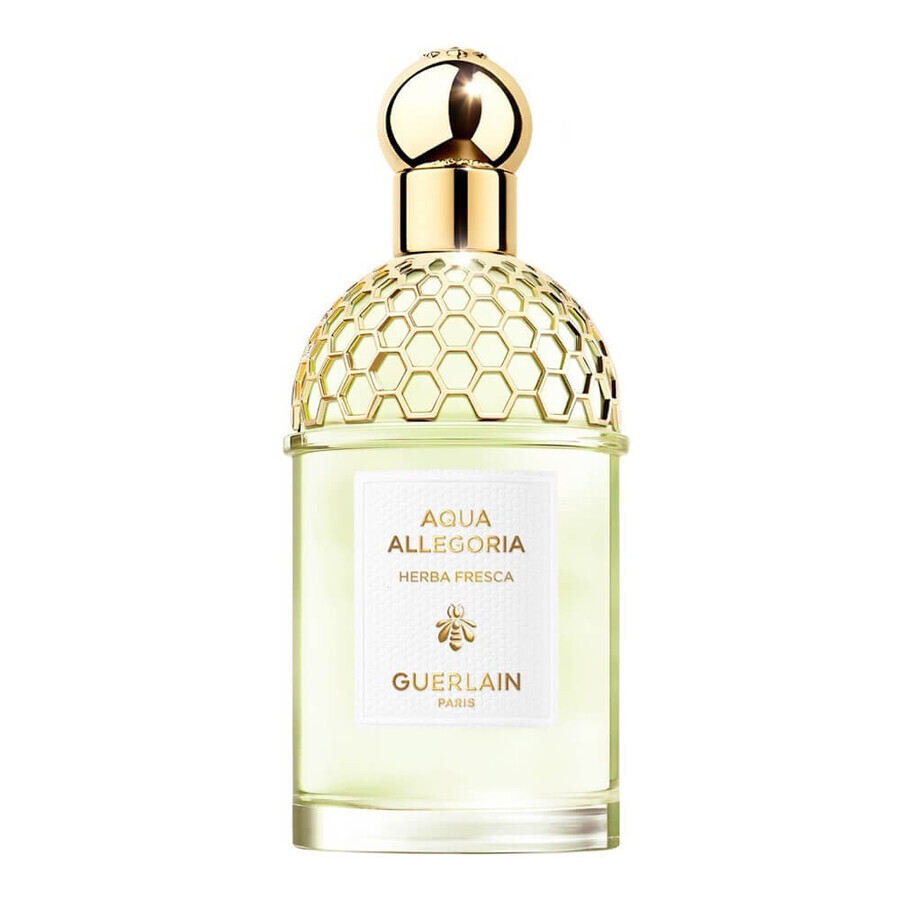 Acquista Guerlain Aqua Allegoria Herba Fresca Eau de Toilette, 75 ml Guerlain Aqua Allegoria Herba Fresca Eau de Toilette, 75 ml