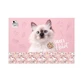 Derform Cleo und Frank 45 Katze Aufkleberblock