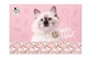 Derform Cleo und Frank 45 Katze Aufkleberblock