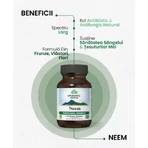 Neem, 60 capsules, Biologisch India
