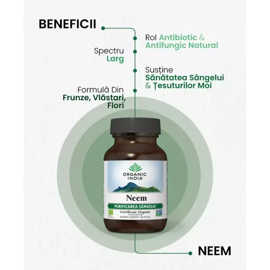 Neem, 60 capsules, Biologisch India