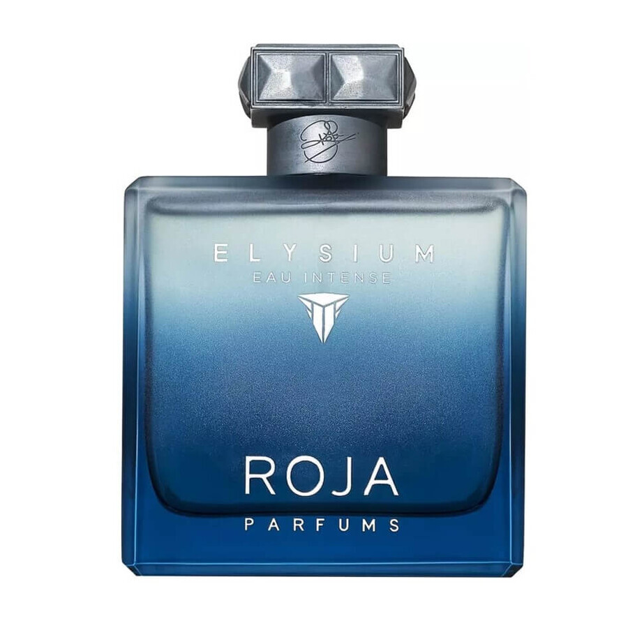 Comprar Roja Parfums Elysium Pour Homme Eau de Parfum Intenso, 100 ml Roja Parfums Elysium Pour Homme Eau de Parfum Intenso, 100 ml