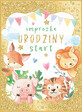 B6 Birthday Animals Card