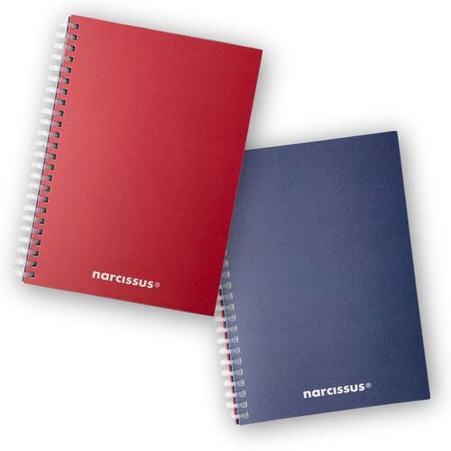 Cahier SWING Mono BG A5 80K grille 80g NARCISSUS
