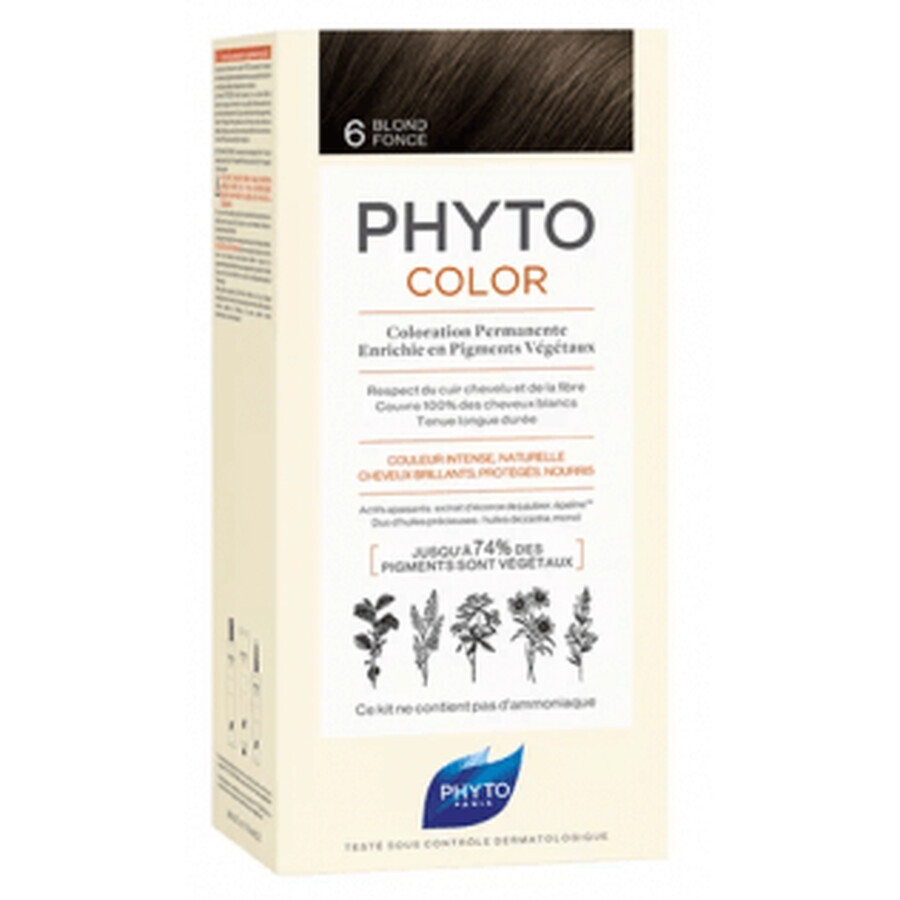 Shop Phyto Farbe 6 Dunkelblond Phyto Farbe 6 Dunkelblond