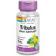 Solaray Tribulus 60 VegCaps