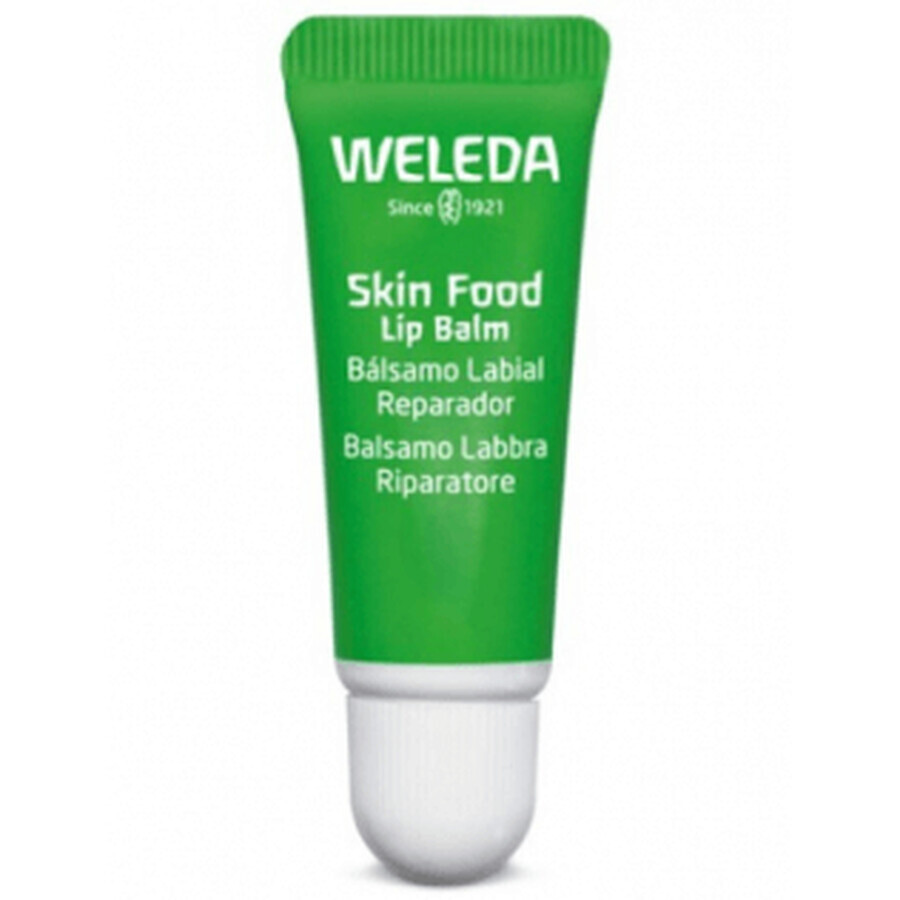 Winkel op Weleda Huidvoeding Lippenbalsem 8ml Weleda Huidvoeding Lippenbalsem 8ml