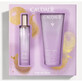 Caudalie COFRE Eau Ange des Vignes 50ml + Gratis Douchegel 200ml