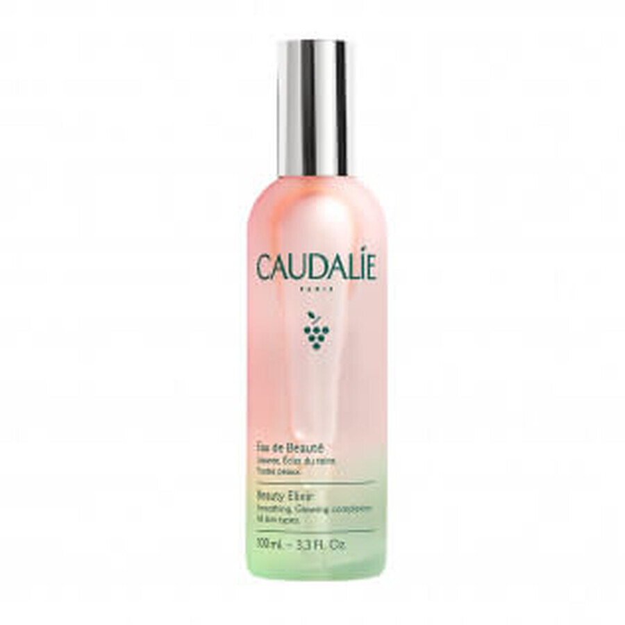 Cumpără Caudalie Apă de frumusețe 100ml Caudalie Apă de frumusețe 100ml