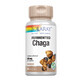 Solaray Chaga Fermented Mushroom 60 Vegcaps