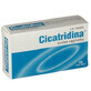 Cicatridine Vaginal Ovules 10u
