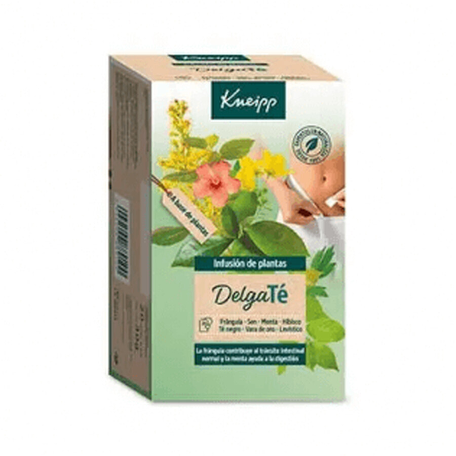 Kneipp DelgaTe Afslank Infusie, 40 Zakjes