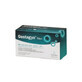 Gestagyn Men Contribuye a la Fertilidad 60 capsulas