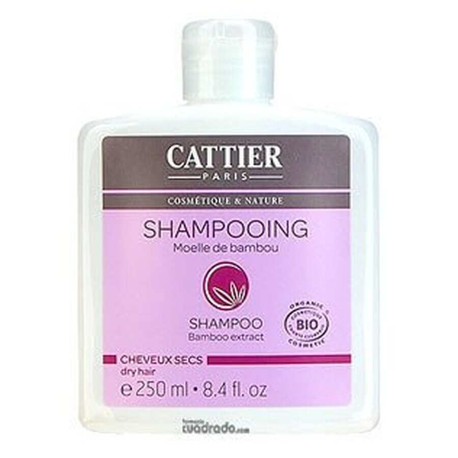 Cattier Shampoo per capelli secchi al midollo di bambù, 250ml