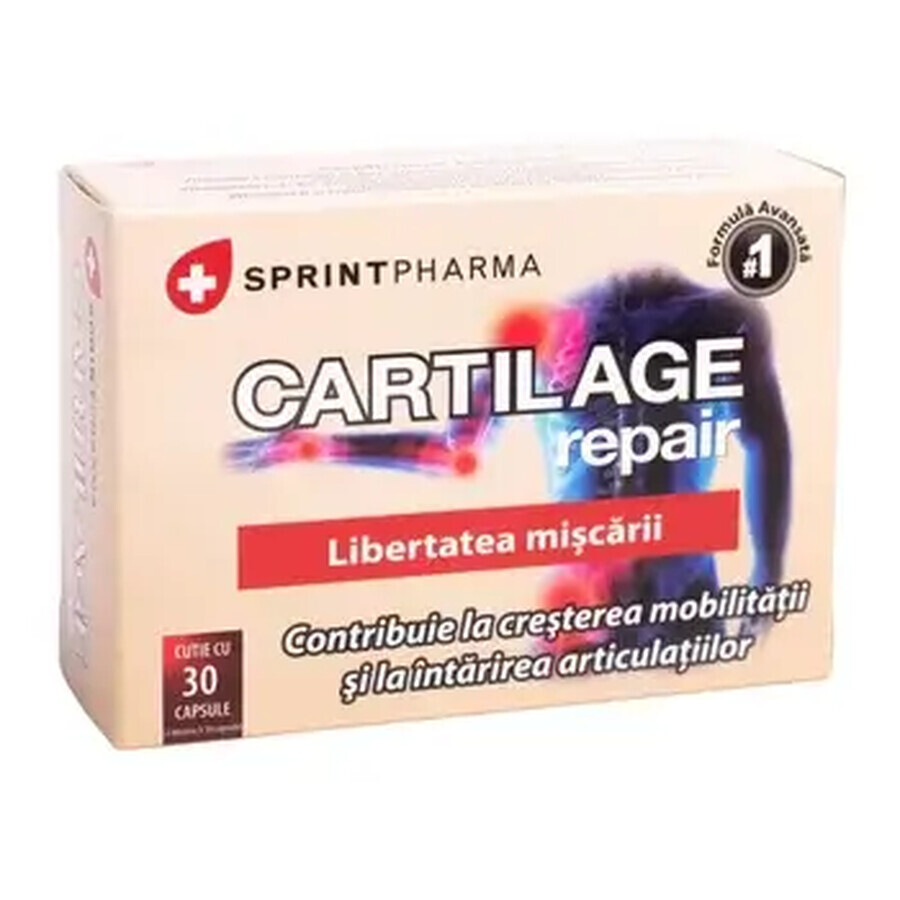 Kraakbeenherstel, 30 capsules, Sprint Pharma