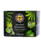 Black Bee Pharmacy Immun-Gelee+ 20 Ampullen