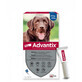 ADVANTIX ANTIPARASITIC PIPETTES 4.0 DOGS +25KG 1 PIPETTE