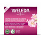 Weleda Cr&#232;me de nuit &#224; l&#39;&#233;glantier et au th&#233; blanc 40ml