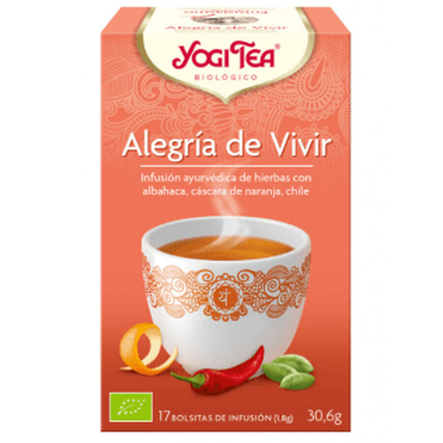 Yogi Tee Freude des Lebens 17 Sachets