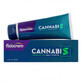 Fisiocrem Cannabis Cr&#232;me 200 ml